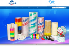 Guangzhou Hayland international Co., LTD與海洋網(wǎng)絡(luò)達(dá)成網(wǎng)站建設(shè)服務(wù)