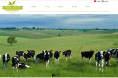 深圳美斯佳進(jìn)出口貿(mào)易有限公司與海洋網(wǎng)絡(luò)達(dá)成網(wǎng)站建設(shè)協(xié)議