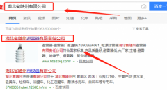 湖北省隨州避雷器有限責(zé)任公司和我公司簽訂網(wǎng)站建設(shè)項目