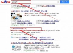 上海園林（集團(tuán)）有限公司和我公司簽訂SEO推廣項(xiàng)目