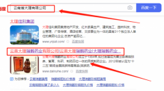 云南大理*鶴藥業(yè)有限公司網(wǎng)站建設有創(chuàng)意的主題設計
