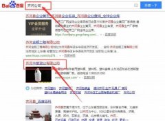 齊河縣華*塑業(yè)有限公司網站建設創(chuàng)意網站效果展示