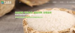 豐城市中*農(nóng)業(yè)發(fā)展有限公司網(wǎng)站建設(shè)新一代自助建站、智能建站系統(tǒng)